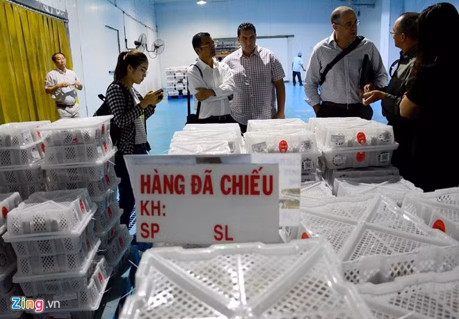 Vải thiều Lục Ngạn trước khi xuất ngoại ra nước ngoài. - Hình 18 Vai thieu Luc Ngan truoc khi xuat ngoai ra nuoc ngoai.-Hinh-18