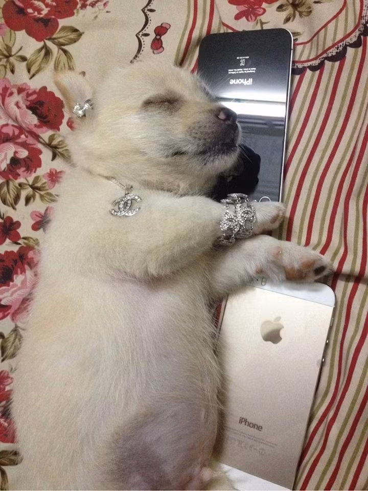 Nhà có điều kiện.