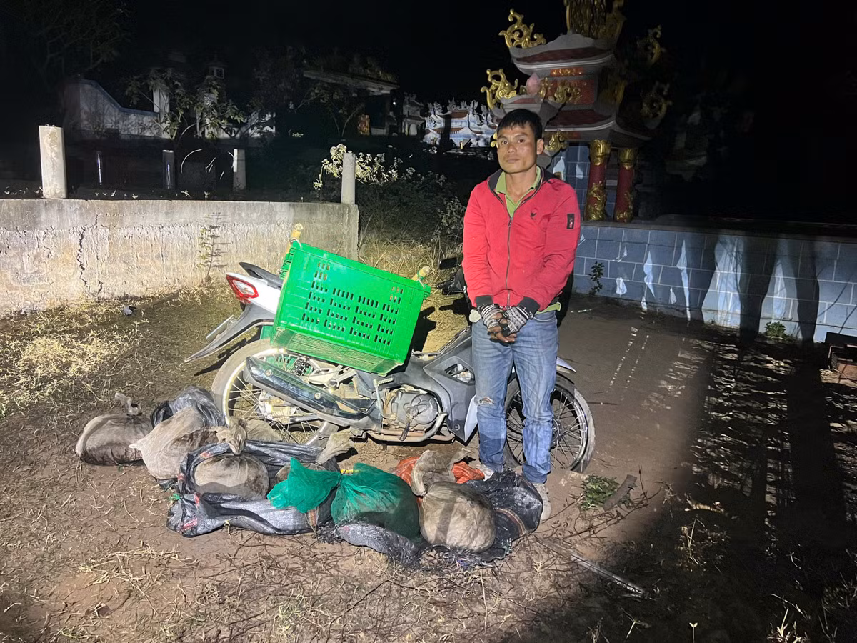 Bắt đối tượng vận chuyển 6 cá thể tê tê quý hiếm Bat doi tuong van chuyen 6 ca the te te quy hiem