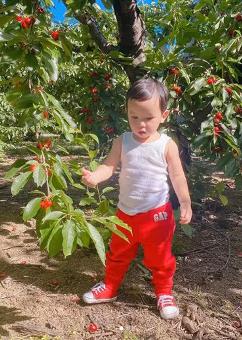 Trên trang cá nhân của bé Maximus, nhiều fan để lại bình luận mong Phạm Hương sớm mở lại Instagram.