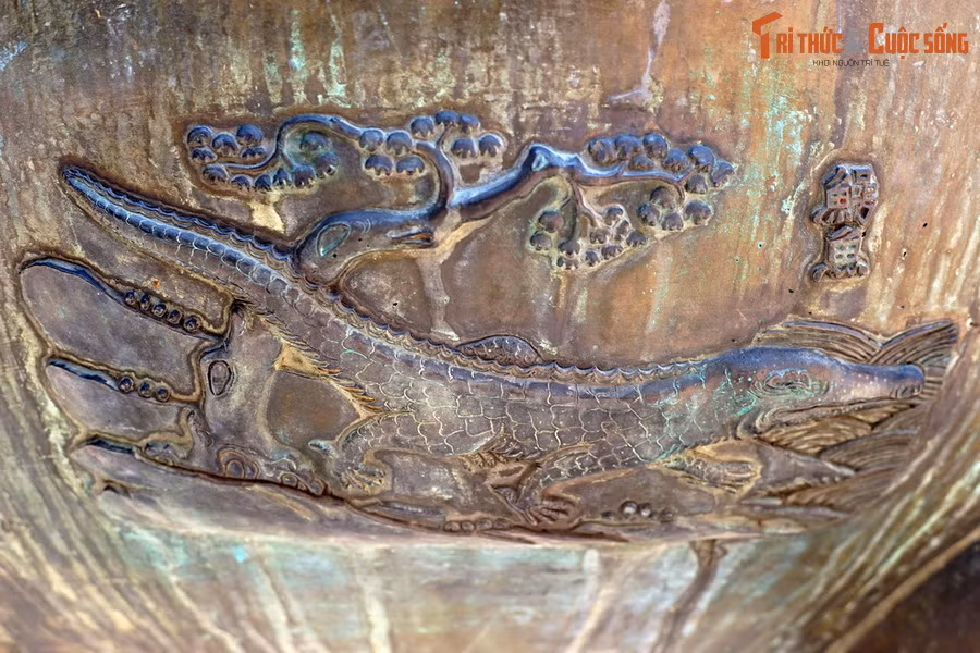 Hình cá sấu trên Cửu Đỉnh nhà Nguyễn ở Hoàng Thành Huế, niên đại 1835-1837. Việt Nam là nơi sinh sống của hai loài cá sấu, gồm cá sấu hoa cà và cá sấu Xiêm. Trong đó cá sấu hoa cà đã tuyệt chủng ngoài thiên nhiên, còn cá sấu Xiêm nằm trong diện cực kỳ nguy cấp trong Sách Đỏ.