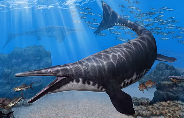 Ectenosaurus everhartorum được xác định sống trong một vùng biển nông nơi chia lục địa Bắc Mỹ thành hai vùng riêng biệt được gọi là Western Internal Seaway.