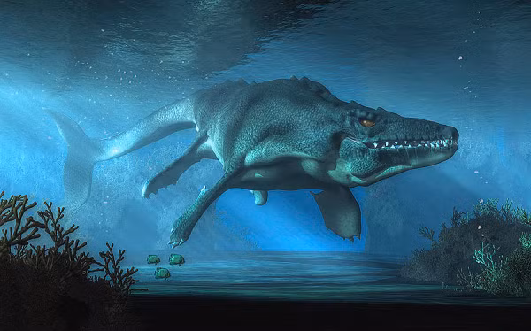 Hiện tại, toàn bộ chi Ectenosaurus chỉ được biểu thị bằng 2 hóa thạch, mỗi hoá thạch đại diện cho một loài là E. clidastoides và E. everhartorum.
