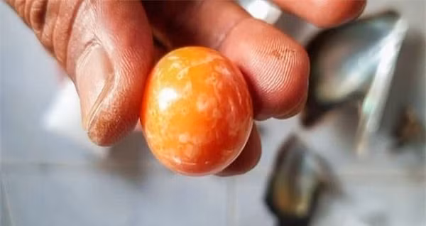 Ngọc ốc xà cừ (Queen Conch) hay còn được gọi là "ngọc trai hồng" là một trong những loại ngọc hiếm nhất và có giá trị nhất trên thế giới bởi cho đến nay mọi nỗ lực nuôi cấy ngọc ốc xà cừ đều thất bại, vì thế tất cả các viên ngọc đều là ngọc tự nhiên.