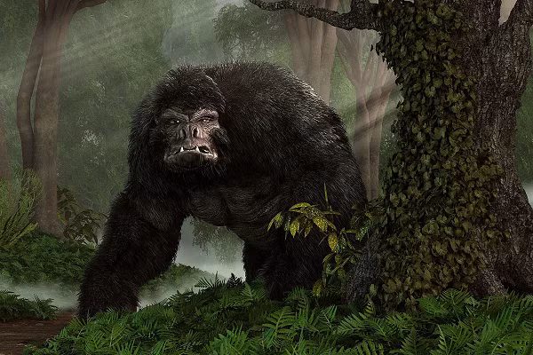 Dựa trên bằng chứng hóa thạch, các nhà khoa học cho biết loài Gigantopithecus blacki cao khoảng 3 m, nặng tới 270kg từng tồn tại trên trái đất nhưng đã tuyệt chủng hàng trăm nghìn năm trước.