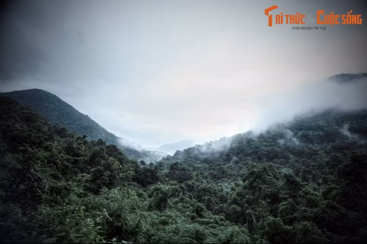 Chàng trai hỏi mọi người thì biết rằng người ta chỉ thấy có mỗi mình chàng nằm bên đường mà không hề thấy có thêm ai cả, và toàn bộ số người còn lại trong đoàn xe đã thiệt mạng, trong đó không có cô gái nào như chàng trai miêu tả.