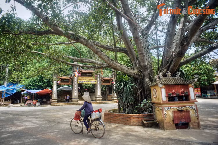 Nằm trên núi Câu Lâu ở thôn Yên, xã Thạch Xá, huyện Thạch Thất, thành phố Hà Nội, chùa Tây Phương (tên chữ là Sùng Phúc tự) là một ngôi chùa cổ được cả nước biết đến.