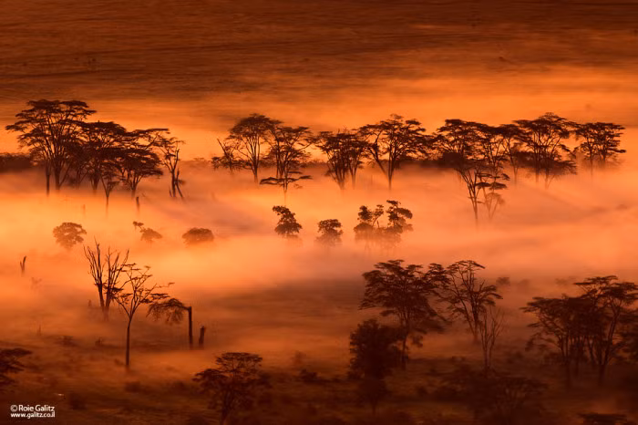 Hoàng hôn đẹp như cổ tích ở Tanzania.