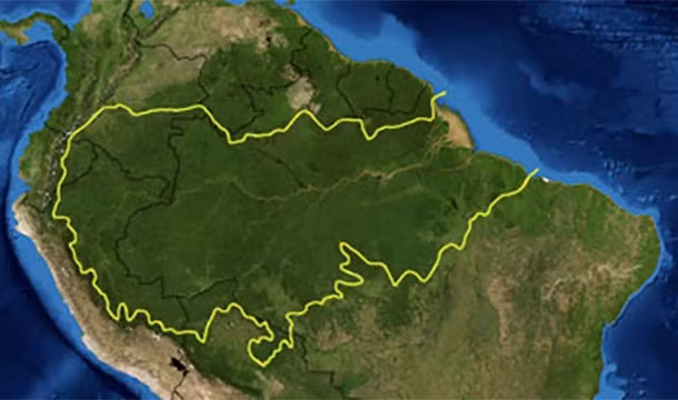 Sông Amazon đổ ra biển một lượng cực lớn nước ngọt mỗi ngày, khiến cho gần 160km ngoài khơi bờ biển trong khu vực có nồng độ mặn thấp hơn bình thường.