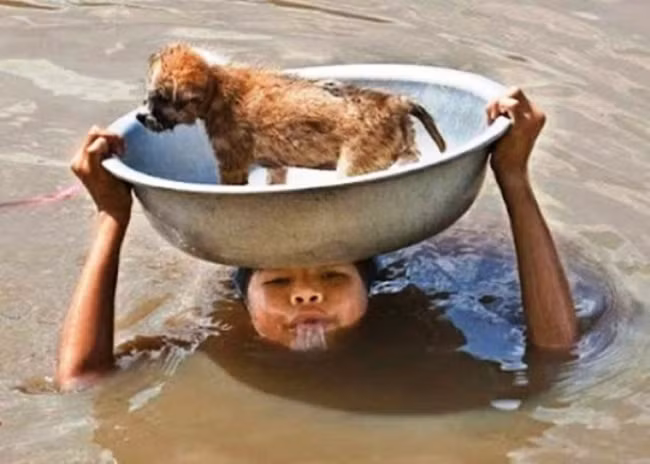 Cậu bé quyết tâm cứu bằng được chú chó con của mình khỏi dòng nước lũ và đã thành công. (Theo Emgn)