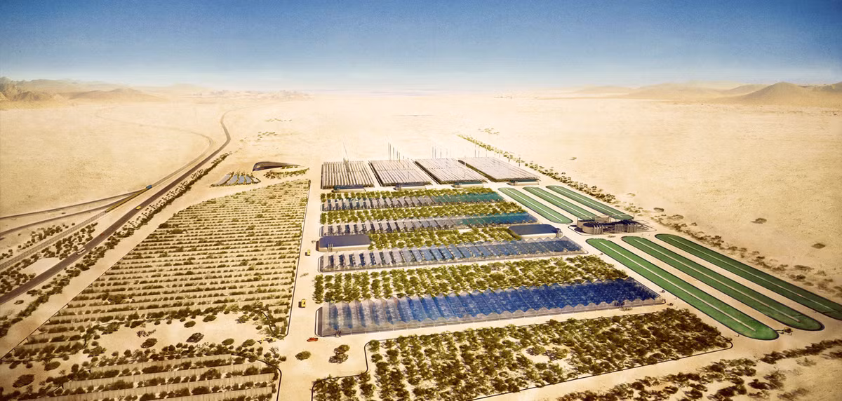 Dự án rừng Sahara hoạt động trên mô hình khai thác các nguồn tài nguyên thiên nhiên sẵn có ở sa mạc Sahara như ánh nắng mặt trời và nước biển để tạo ra thực phẩm sạch, nước uống và năng lượng sạch. (Theo Sahara Forest Project)