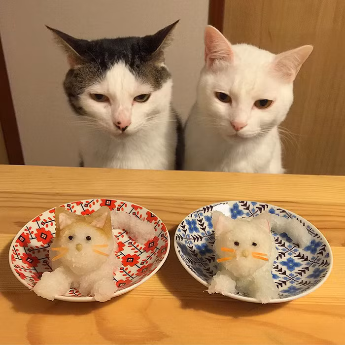 Dù đã trở nên nổi tiếng nhưng Hatchan và Oko vẫn luôn bày tỏ sự ghen tức, khó chịu của mình khi không được ăn những món ăn vừa ngon vừa đẹp của chủ nhân.