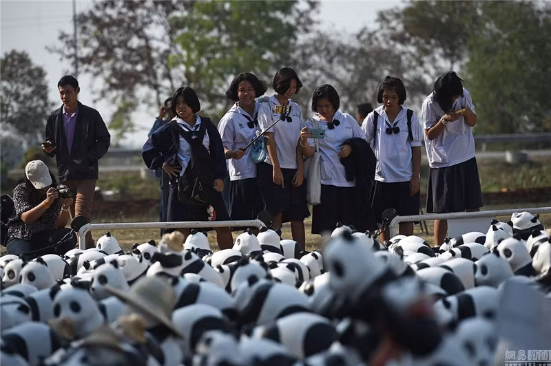 Sự hiện diện của các chú gấu trúc bằng giấy tái chế siêu ngộ nghĩnh này đã khiến nhiều người dân địa phương không khỏi bất ngờ, những du khách may mắn được chứng kiến cảnh tượng cũng không quên chụp ảnh "tự sướng" với binh đoàn gấu trúc này. (Nguồn Pix.wxrb)