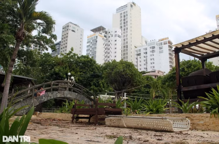 Nhiều hạng mục tại dự án Công viên Phù Đổng hư hỏng, xuống cấp. Giàn khung sắt tại hồ bơi hoen rỉ sau thời gian không sử dụng. Xung quanh, cỏ mọc um tùm, còn cây cối xơ xác. (Ảnh: Dân Trí).