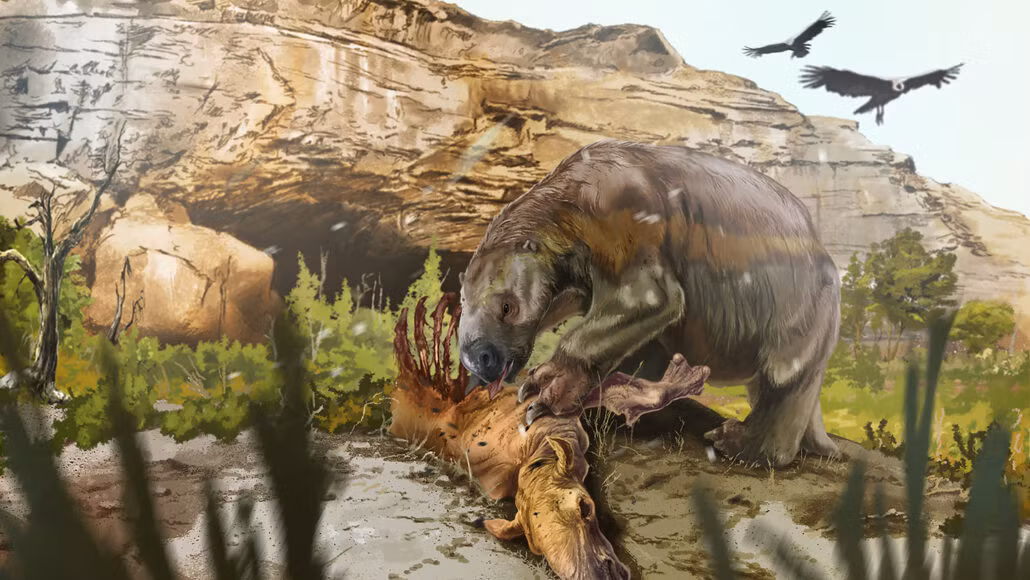 1. Ground Sloth (Lười đất thời tiền sử): Ground Sloth là một loài động vật duy nhất phát triển mạnh qua các kỷ băng hà. Chúng đã sống trên lục địa Bắc và Nam Mỹ cách đây 10.000 năm trước hoặc có thể xa hơn.