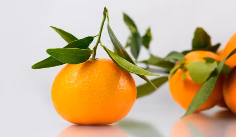 Loại quả ví như "ngọc vàng trời ban" này có hàm lượng dinh dưỡng cao, bao gồm vitamin C, chất xơ, và nhiều loại khoáng chất quan trọng.