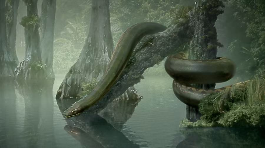 Với kích thước vô cùng to lớn, ánh mắt sắc lạnh và bản năng săn mồi tàn độc, Titanoboa là loài vật khủng khiếp và không có đối thủ trong thời kỳ đó. Nó là loài rắn có xương sống trên cạn lớn nhất sau sự tuyệt chủng của khủng long.