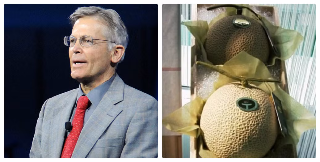 Dưa Yubari King của Nhật Bản là đồ ăn ưa thích của tỷ phú Jim Walton. Ảnh: Borongaja.