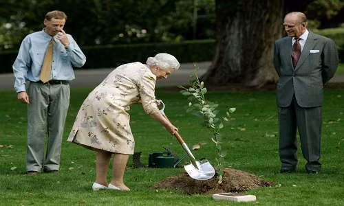 Hình ảnh Nữ hoàng Anh tự tay trồng cây trong khuôn viên Tòa nhà Chính phủ ở Canberra, Australia, ngày 14/3/2006.