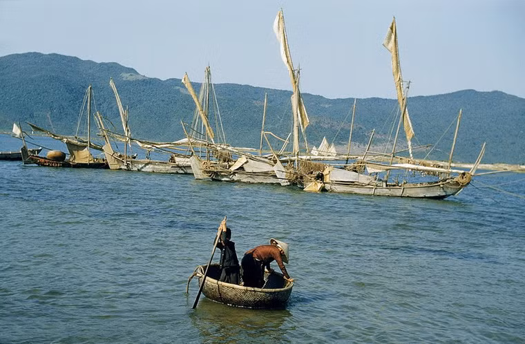 Ngư dân di chuyển bằng thuyền thúng ở vùng biển Đà Nẵng.