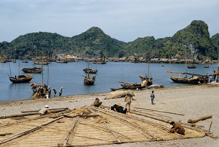 Những người Hoa tỵ nạn làm một chiếc buồm trên bãi biển ở phía Bắc Việt Nam năm 1952.