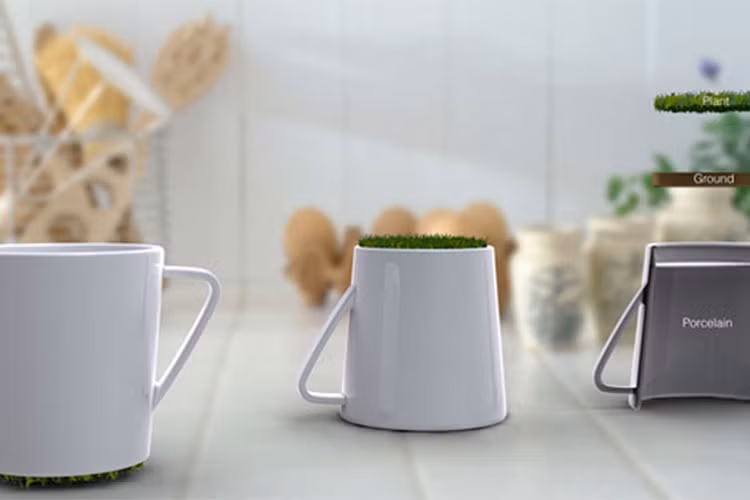 Trồng cây ở đáy cốc- một ý tưởng siêu hay và sáng tạo.