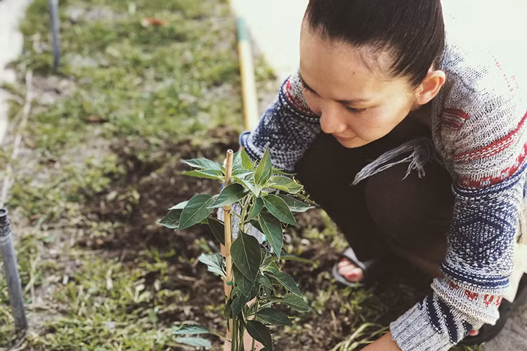 Làm dâu ở Mỹ, Kim Hiền có một khu vườn nhỏ và thường tự tay trồng, chăm sóc cây cối.
