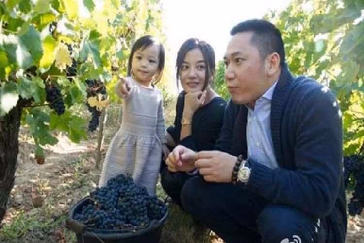 Năm 2018, Triệu Vy cũng từng bị đồn ly hôn. Thời điểm đó, phía nữ diễn viên phủ nhận. Về tin đồn ly thân mới đây, Triệu Vy đáp trả bằng việc khoe bó hoa hồng được cho là do ông xã tặng nhân ngày 14/2.
