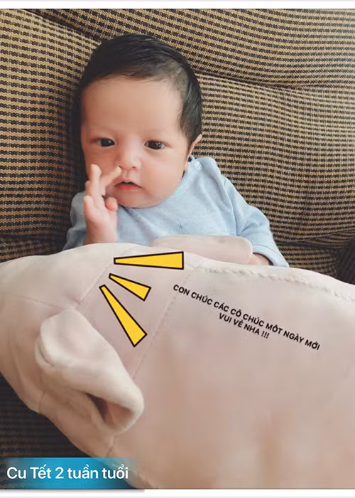 Cậu nhóc hiện còn có đông fan hơn bố mẹ.