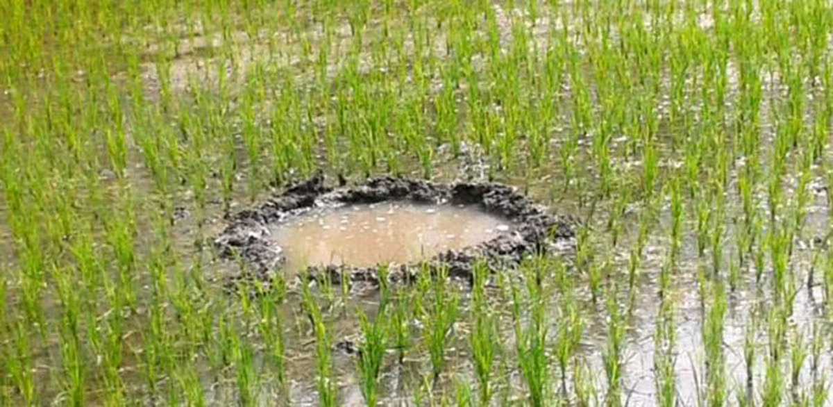 An Do: Thien thach roi, 4 nguoi thuong vong