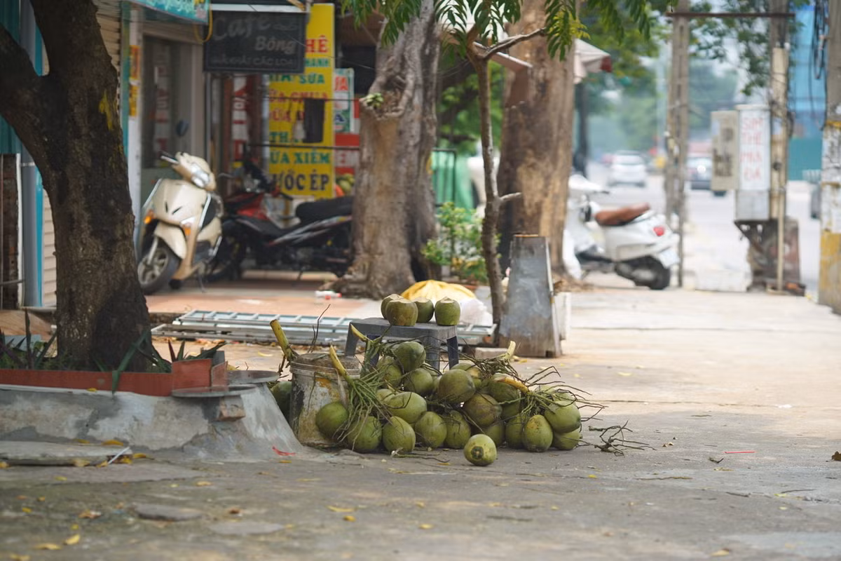 Tham khảo trên thị trường, giá dừa bán lẻ hiện nay có 2 loại. Loại 1 quả giá 30.000 đồng, loại 2 rẻ hơn giá từ 20.000 đến 25.000 đồng.