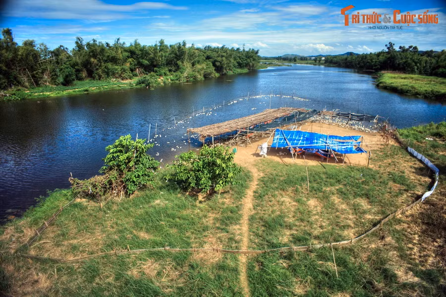 Bức tranh thôn dã ở sông Bà Rén - một phụ lưu của sông Thu Bồn - nhìn từ cầu Chìm, cây cầu nối thị trấn Nam Phước với xã Duy Trung ở huyện Duy Xuyên.