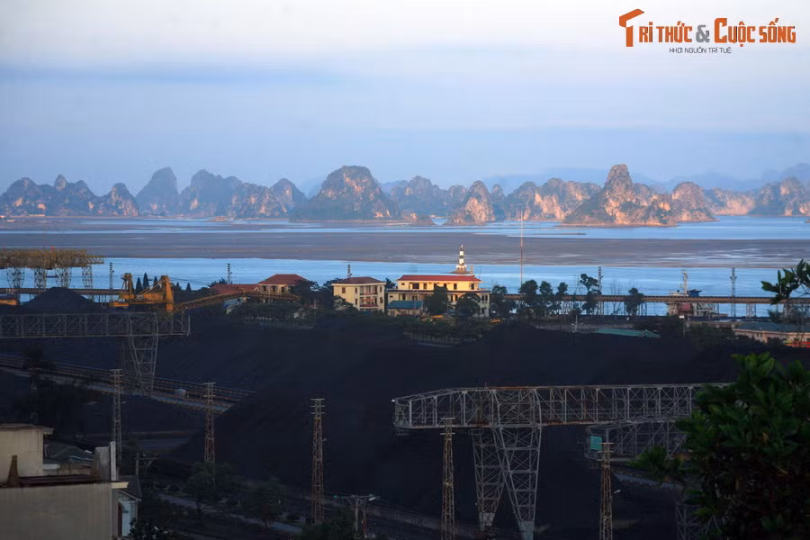  4. Quảng Ninh. Nằm ở khu vực Đông Bắc, tỉnh Quảng Ninh được ví như một "Việt Nam thu nhỏ" với đủ dạng địa hình, như núi non, hải đảo, đồng bằng, trung du và biên giới. Di sản thiên nhiên thế giới Vịnh Hạ Long của tỉnh này là "thỏi nam châm" hút khách quốc tế đến Việt Nam.