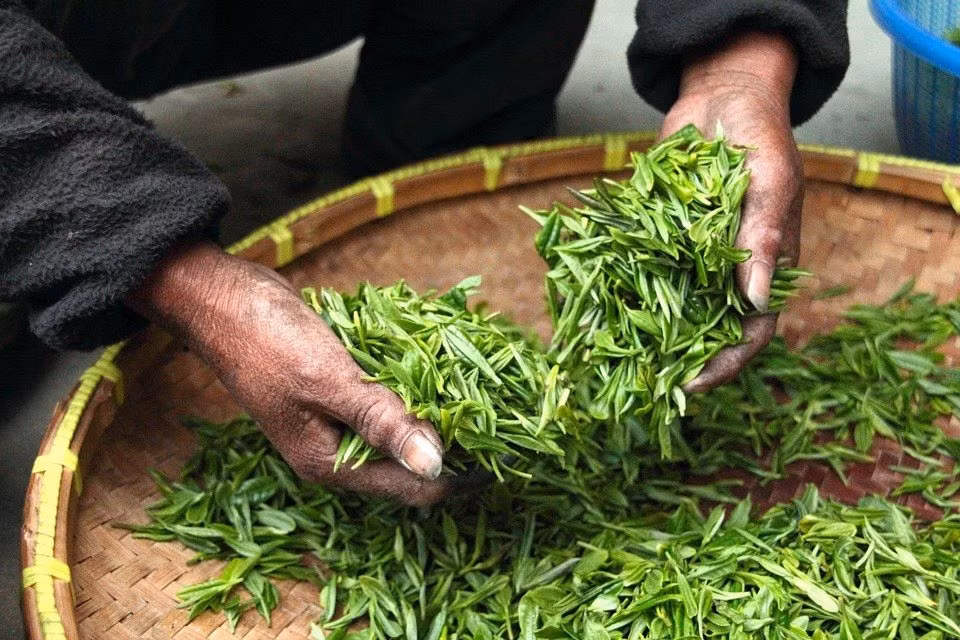 3. Trà xanh Ngoài nước lọc, uống trà xanh là một cách tuyệt vời để giữ nước. Nó giữ cho làn da khỏe mạnh vì có chất chống oxy hóa, vitamin B3 và một hóa chất khác gọi là epigallocatechin-3-gallate (EGCG).