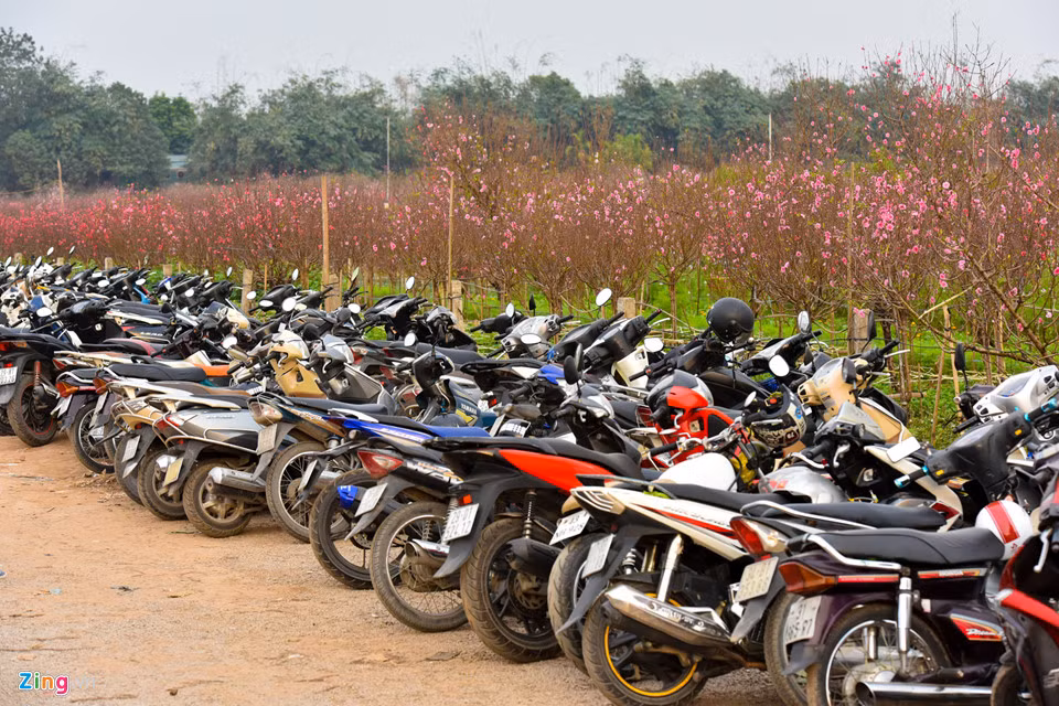 Trong những ngày này, giá gửi xe máy cũng tăng lên 10.000 đồng/chiếc. Giá gửi ôtô là 50.000 đồng nhưng các bãi vẫn kín.