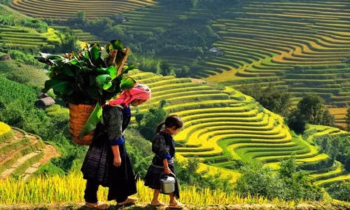 Nghi Tet Duong lich 2019: Du lich o dau gan Ha Noi gia 