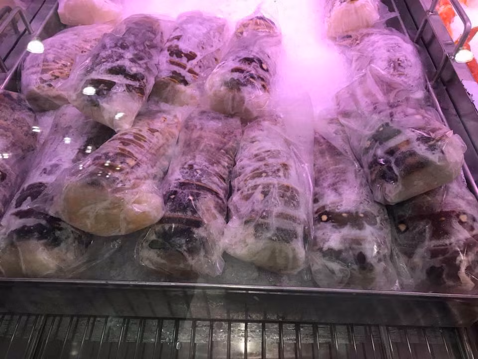 Tôm hùm Úc nguyên con có giá rẻ hơn, từ 550.000 - 700.000 đồng/kg. Ảnh: Thu Ballet.