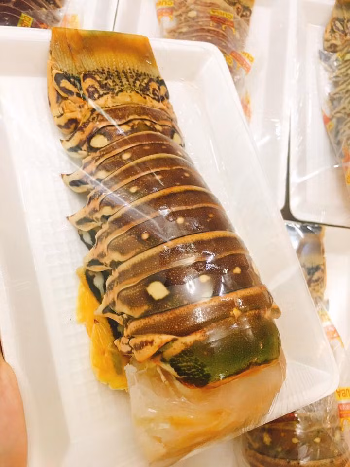 Mỗi vỉ đuôi tôm hùm đóng gói từ 1,2 - 1,5kg. Ảnh: FB Khuc Ngoc Anh.