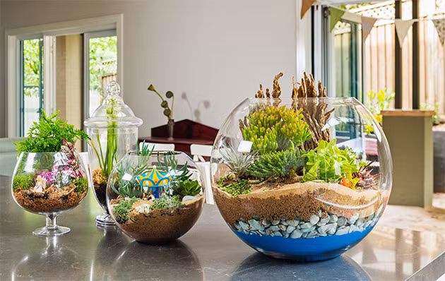 Không nên trồng quá nhiều cây sẽ không đẹp và có không gian cho cây phát triển. Ảnh: Homedit.