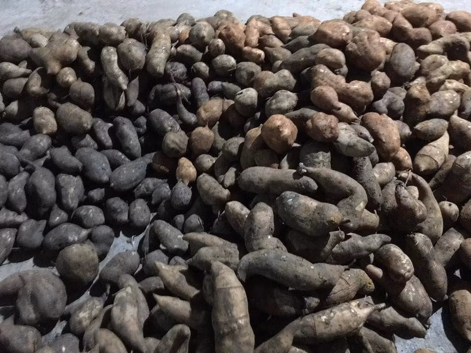 Người ít mua 2-3kg, người nhiều mua đến vài chục kg để ăn dần. Ảnh: FB Xuyên Lê.