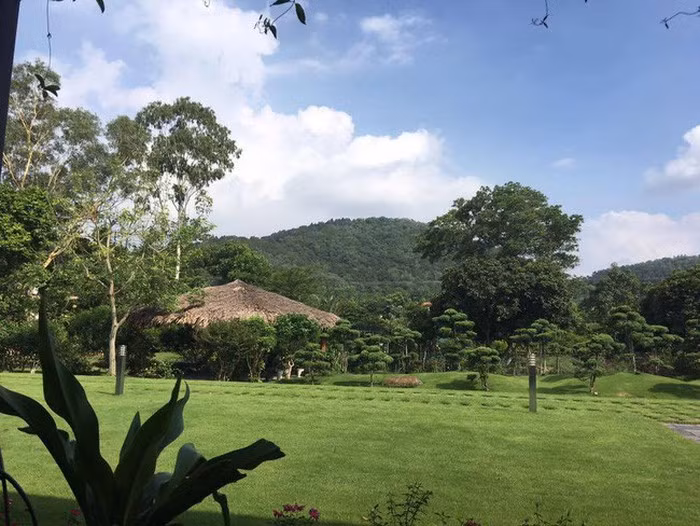 Thảm cỏ tạo không gian nghỉ dưỡng xanh mát. Ảnh: Dân Việt.