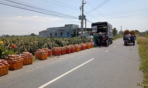 Lai keu goi “giai cuu thanh long“