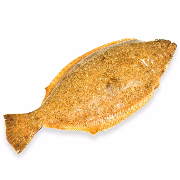 Theo đó, loại cá bơn Hàn Quốc sống có giá bán từ 900.000 - 980.000 đồng/kg. Ảnh: Haisanhoangia.