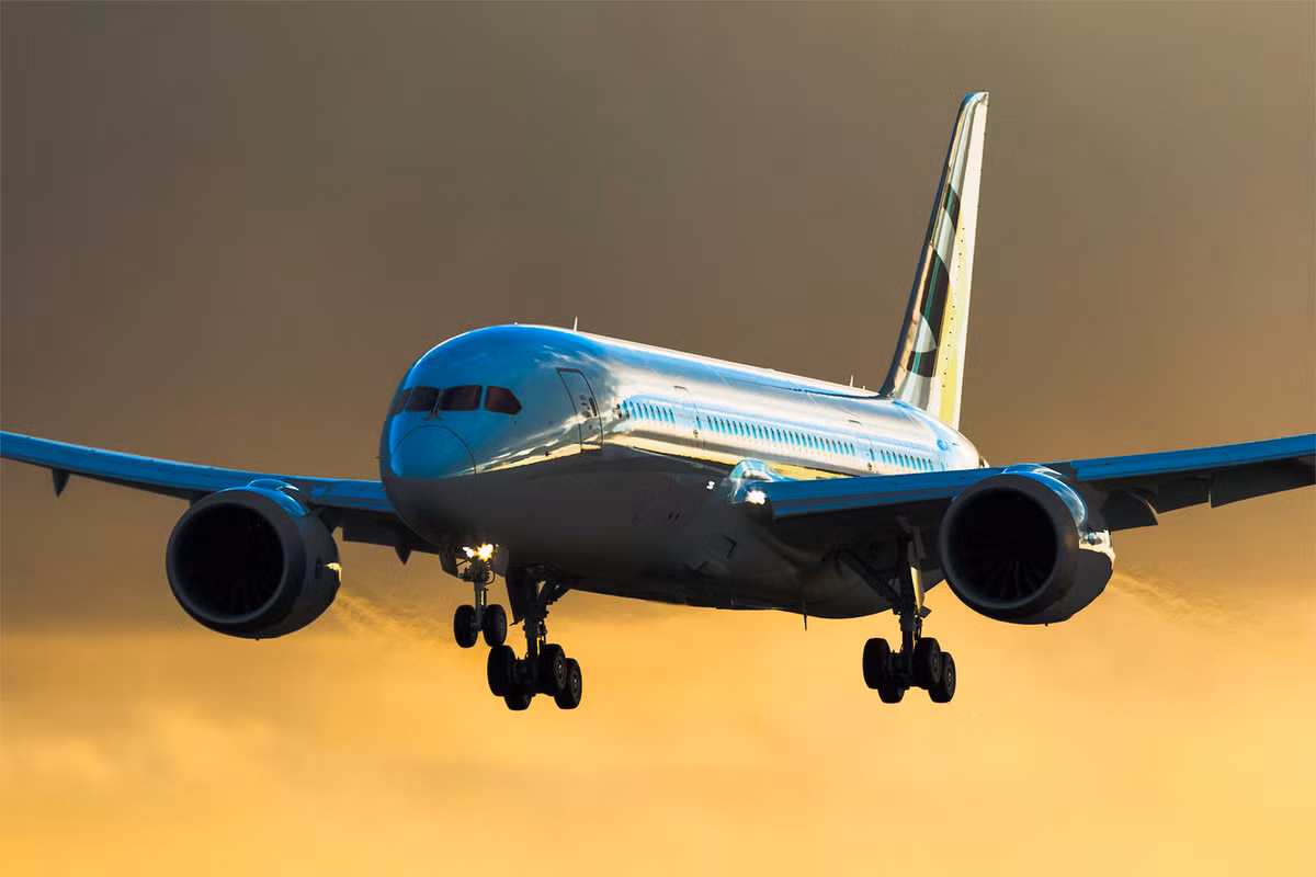 Boeing 787-8 BBJ có giá 224 USD với sức chứa 40 người. Năm 2016, tập đoàn HNA của Trung Quốc dành thêm 100 triệu USD để biến mẫu máy bay này thành máy bay tư nhân.