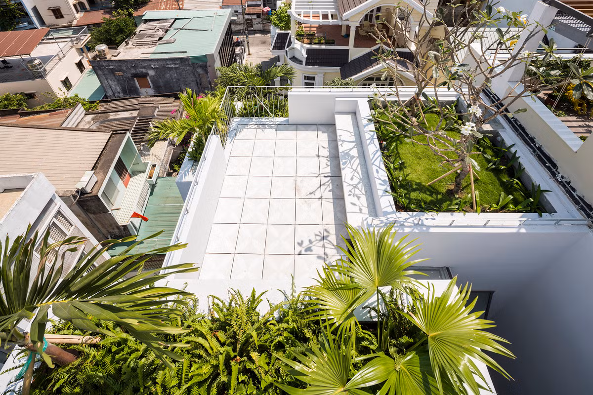 Sân thượng ngôi nhà 5 tầng phủ sắc xanh của các loại cây cảnh. Nguồn ảnh: Archdaily.