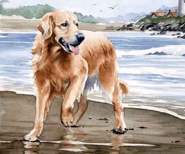Người tuổi Tuất làm kinh doanh thì càng dễ thăng quan phát tài cuộc sống lên hương ít ai sánh bằng. 