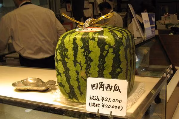 Cửa hàng hoa quả cao cấp Shibuya Nishimura ở Tokyo bán dưa hấu hình khối của mình với giá 12.960 yên (158 USD/quả). Vì dưa hấu đơn giản chỉ cần cho lớn tự nhiên theo khuôn có sẵn nên rất nhiều biến thể đã xuất hiện, bao gồm dưa leo hình kim tự tháp và keo.
