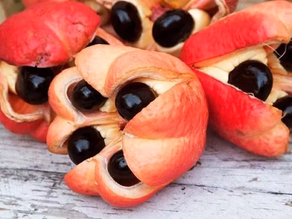 Xếp đầu tiên trong bảng xếp hạng là trái Ackee, có nguồn gốc từ khu vực nhiệt đới vùng Tây Phi. Trái sẽ chuyển màu từ xanh sang vàng cam khi chín và sẽ tách ra làm 3 phần. Mỗi quả nặng khoảng 100 - 200g, hương vị vô cùng thơm ngon trừ phần đen có độc.