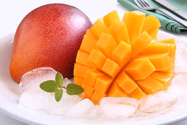 Ngoài kỹ thuật chăm sóc cầu kỳ, xoài Miyazaki Nhật Bản đòi hỏi nông dân sự kiên nhẫn. Bởi, từ lúc trồng cây con đến khi thu hoạch có lãi phải mất khoảng 3 năm.