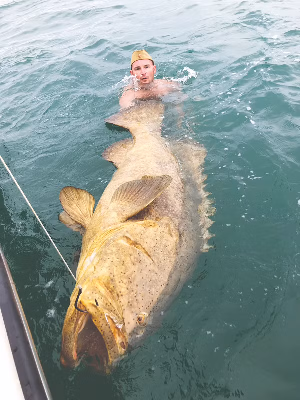 Cá mú Goliath (Goliath Grouper) có tên khoa học là Epinephelus itajara, là loài lớn nhất trong các giống cá mú ở vùng tây bắc Đại tây dương. Nó có thể nặng tới 455 kg và dài 2 m.